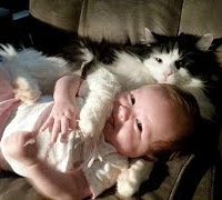 人間の赤ちゃんを自分の子供のように思っている猫たち・必死に赤ちゃんを守る猫たち