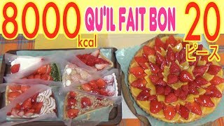 【MUKBANG】 ONLY Strawberry!! ALL Qu’il fait bon’s Strawberry Tarts! 124$, 20 Pieces 8000kcal[Use