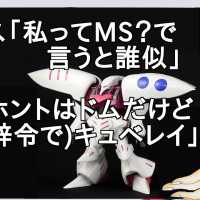 デブス「私ってMS？で言うと誰似」俺「ホントはドムだけど社交辞令でキュベレイ」【２ch】