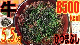 【MUKBANG】 Eel?? Grilled Beef Hitsumabushi Rice Bowl [& Japanese Broth Rice] 5.5Kg 8500kcal[Use CC]