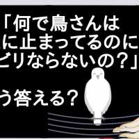 子供「何で鳥さんは電線に止まってるのにビリビリならないの？」←どう答える？【2ch】