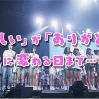 「​AKB48グループ感謝祭 ～ランクインコンサート・ランク外コンサート～​」DVD&Blu-ray​​【TVスポット30秒​】​/ AKB48[公式]