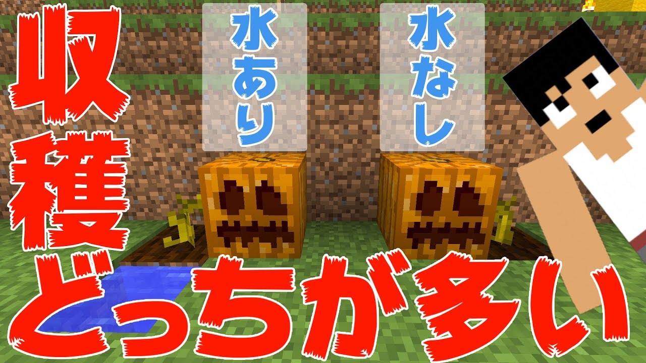 【カズクラ】検証！かぼちゃ水ありなしでどっちが収穫多いの？マイクラ実況 PART167