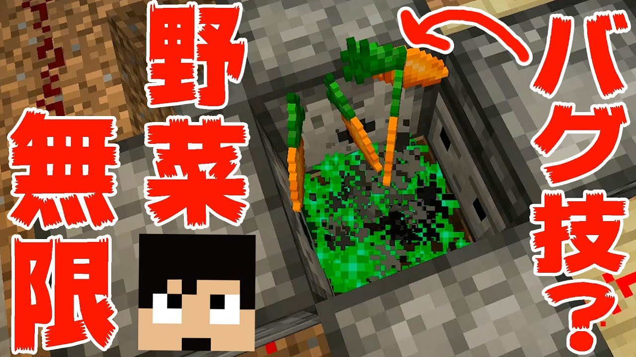 【カズクラ】バグ技？で野菜無限製造！マイクラ実況 PART202