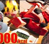 【MUKBANG】 Meat “World Tour”!! [40 Servings] 4.6Kg  [About 12000kcal] The INNOCENT CARVERY [Use CC]
