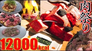 【MUKBANG】 Meat “World Tour”!! [40 Servings] 4.6Kg  [About 12000kcal] The INNOCENT CARVERY [Use CC]