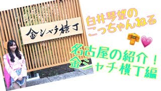 白井琴望 こっちゃんねる / 名古屋の紹介・金シャチ横丁編