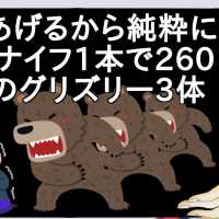 2億あげるから純粋に果物ナイフ1本で260キロのグリズリー3体ヤレ【2ch】