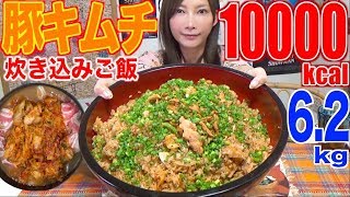 【MUKBANG】 SO EASY! USING RICE COOKER!! Tasty Pork Kimchi Mixed Rice [6.2Kg] 10000kcal [Use CC]