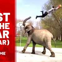驚くべき超人!!People are Awesome – Best Videos of the Year (So Far) | Feat. Imagine Dragons & Kygo