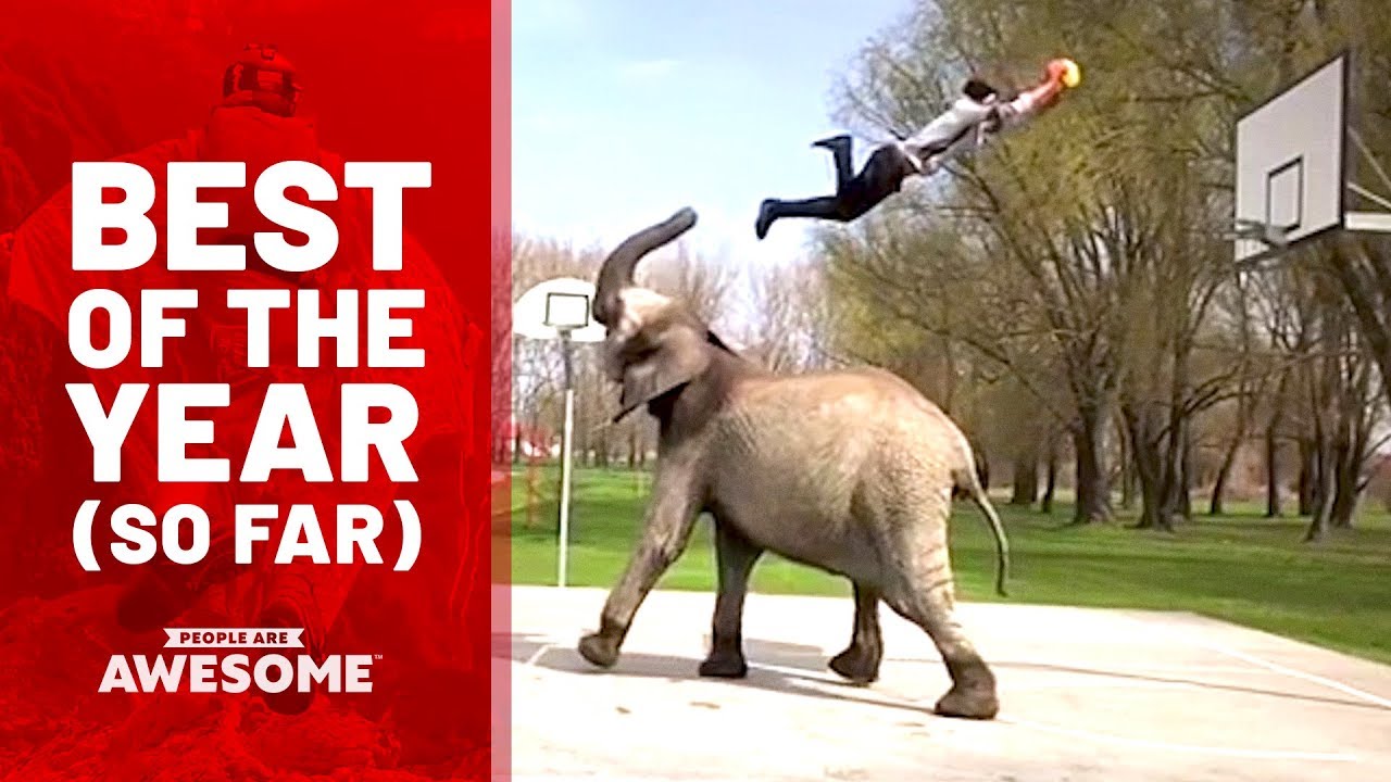驚くべき超人!!People are Awesome – Best Videos of the Year (So Far) | Feat. Imagine Dragons & Kygo