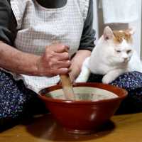 しろとよもぎ餅作り