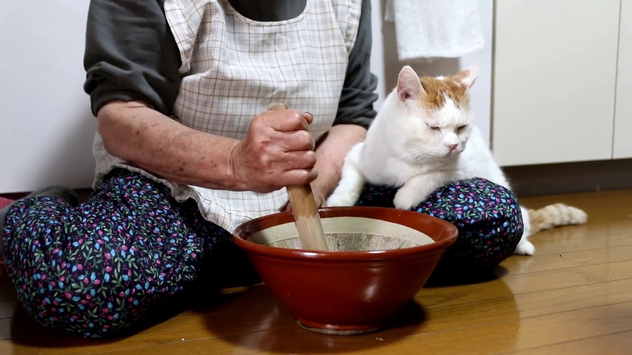 しろとよもぎ餅作り