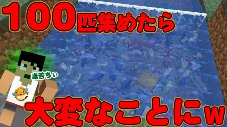 【カズクラ】魚100匹集めたら大変なことになったｗマイクラ実況 PART305