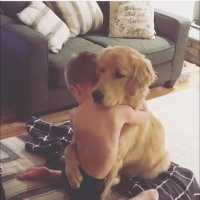 【犬と赤ちゃん】絶妙な関係! 仲良しすぎ！ 何をされても怒らない・かわいい犬と赤ちゃん