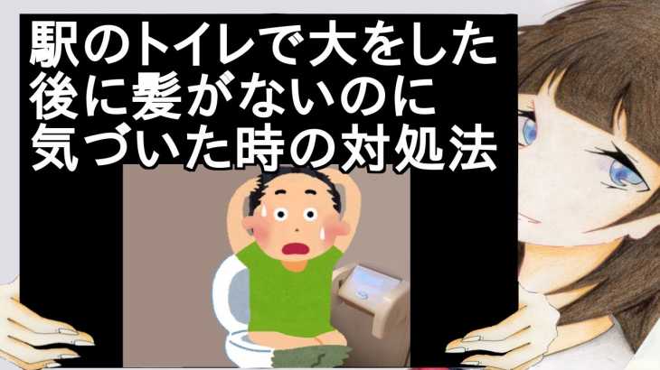 駅のトイレで大をした後に髪がないのに気づいた時の対処法【2ch】