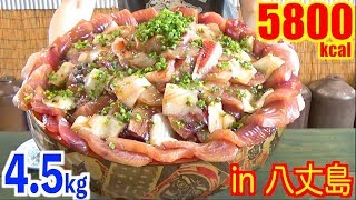 【MUKBANG】 Ultra Huge Fresh Seafood Rice Bowl!! [Hachijoshima Aigae Fisheries] 4Kg 6000kcal [Use CC]