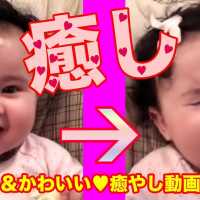 ストレス解消！癒やされる赤ちゃん&動物のかわいい仕草、おもしろハプニング特集 CUTEST and FUNNIEST BABIES  ANIMALS  compilation