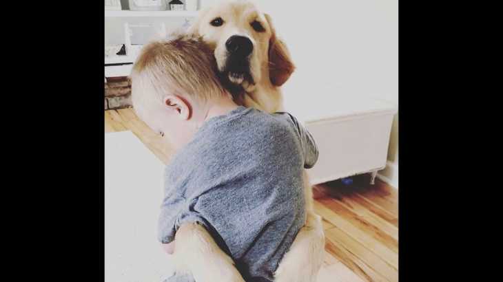 【犬と赤ちゃん】絶妙な関係! 仲良しすぎ！ 何をされても怒らない #1