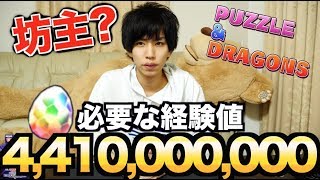 年内にパズドラのランク1000いかないと坊主になる件について。