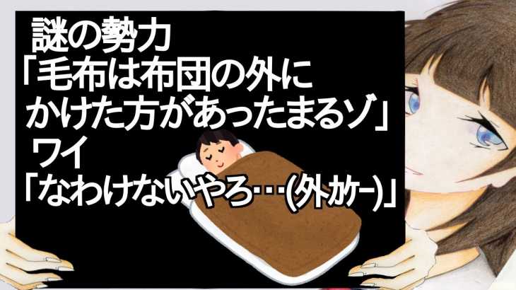 謎の勢力「毛布は布団の外にかけた方があったまるゾ」　ワイ「なわけないやろ…外ｶｹｰ」【2ch】