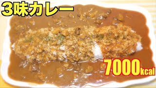 【MUKBANG】 Musshu Fujiwara’s Ashiya Curry [Sweet, Normal, Spicy] 3 Colors Of Curry [7000kcal][CC]