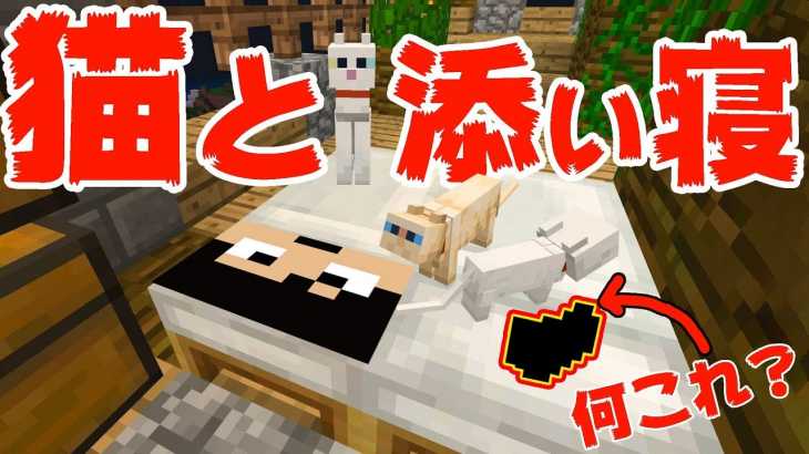 【カズクラ2019】猫と添い寝したらある物をGET!!マイクラ実況 PART18