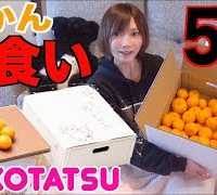 【MUKBANG】 Huge Box Of Mikan Orange [Making A Cute Kotatsu For My Cat!!] 5kg [Use CC]