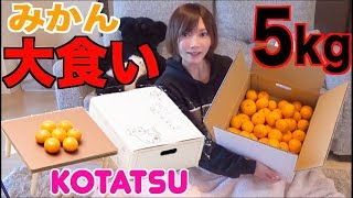 【MUKBANG】 Huge Box Of Mikan Orange [Making A Cute Kotatsu For My Cat!!] 5kg [Use CC]