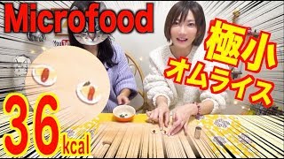 【Micro-Food】 Cooking a Really Small Omelette Rice!!! [36kcal] [CC Available]