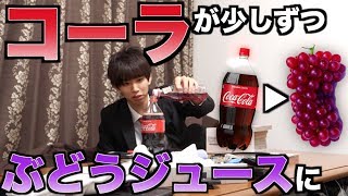 【検証】コーラが徐々にぶどうジュースになると気づかない説