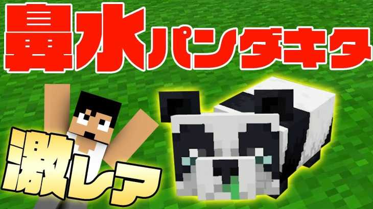 【カズクラ2019】激レアの鼻水パンダキターーー！！！マイクラ実況 PART33