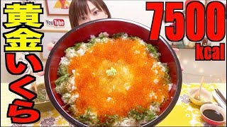 【MUKBANG】 Colorful Salmon Roe Rice Bowl Using Golden Salmon Roe!! [7500kcal] [CC Available]