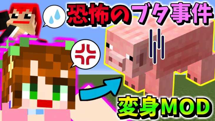 【マインクラフト】変身しすぎて誰が味方かわからねぇよッ!!ｗ【赤髪のとも】meta morph MOD実況2