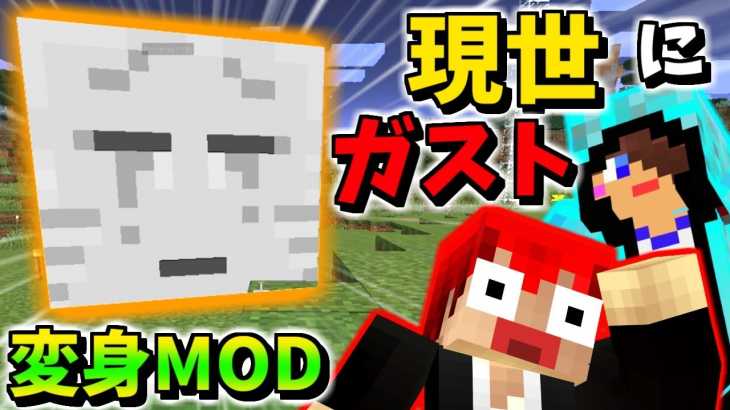 【マインクラフト】ガストを手に入れたら仲間割れ起きたｗ【赤髪のとも】meta morph MOD実況5