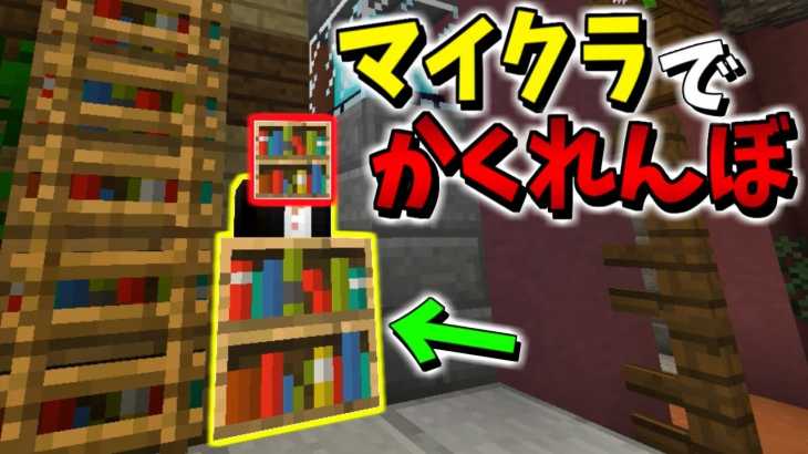 【マインクラフト】かくれんぼで本棚ブロックに隠れてみた!!ｗ【赤髪のとも】