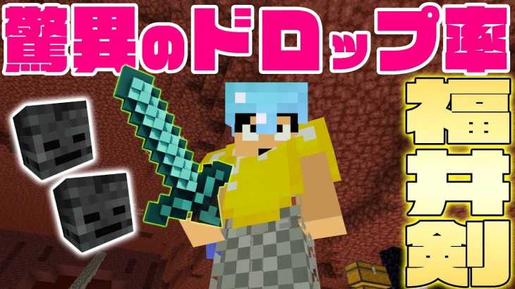 【カズクラ2019】復活福井剣でウィザスケ狩りしたら驚異のドロップ率!!マイクラ実況 PART72