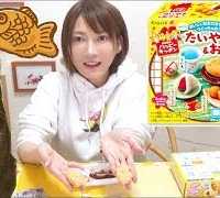 【知育菓子】ハッピーキッチンたいやき＆おだんご 【木下ゆうか】Kracie Happy Kitchen Taiyaki & Dango kit