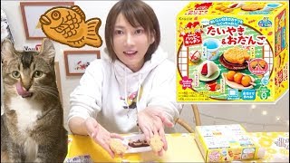 【知育菓子】ハッピーキッチンたいやき＆おだんご 【木下ゆうか】Kracie Happy Kitchen Taiyaki & Dango kit