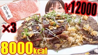 【大食い】ロン大興奮[1万2千円]高級サーロイン牛×3のせガーリックライス[8000kcal]【木下ゆうか】