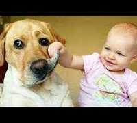 【犬と赤ちゃん】絶妙な関係! 仲良しすぎ！ 何をされても怒らない・かわいい犬と赤ちゃん 2019