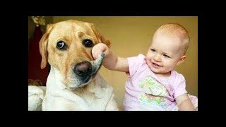 【犬と赤ちゃん】絶妙な関係! 仲良しすぎ！ 何をされても怒らない・かわいい犬と赤ちゃん 2019