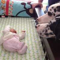 初めて人間の赤ちゃんに会った犬の反応が超おもしろ・これから一緒に成長する