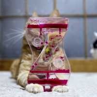 オイル時計のせ猫　190501