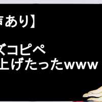 【音声あり】ルイズコピペ読み上げたったｗｗｗｗｗｗｗ【2ch】