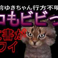 「行方不明事件」の怪文書が物凄く怖かった