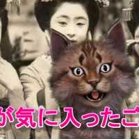 （´・ω・｀）ネコと見る「100年前の日本の写真が凄過ぎる件」