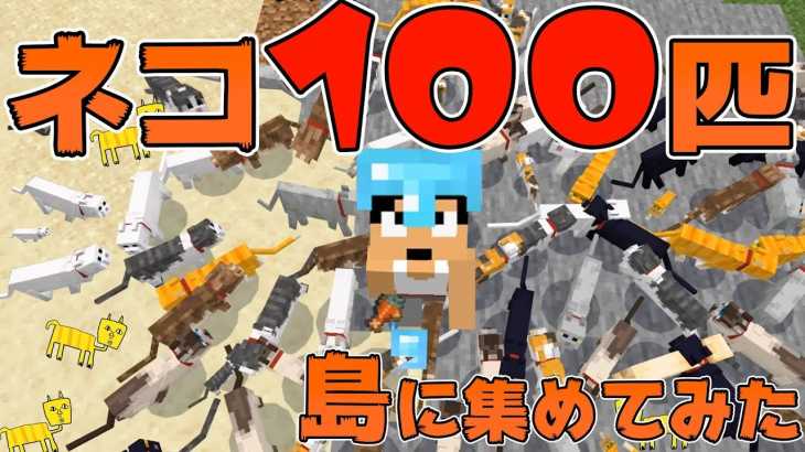 【カズクラ2019】圧巻!ネコ100匹住むネコ島作ってみた!マイクラ実況 PART205