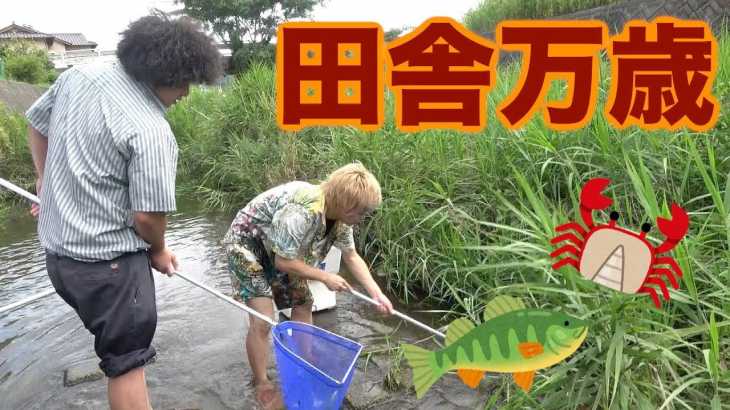 【大物無し】大人が川で本気のおサカナ＆生き物捕まえ対決！！！！！