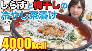 【大食い】夏にピッタリ！釜揚げしらすと梅干しの冷やし茶漬け[10人前]4000kcal【木下ゆうか】